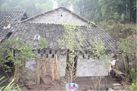 DƬ9.png